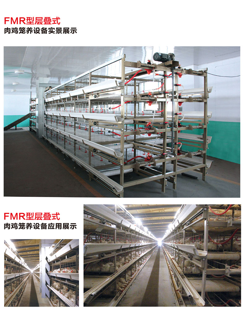 FMR層疊式肉雞籠養(yǎng)設備.jpg