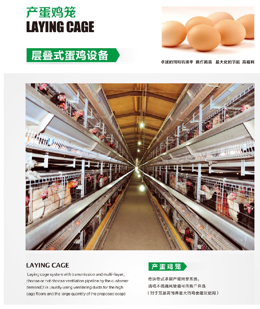 層疊式蛋雞養(yǎng)殖設(shè)備